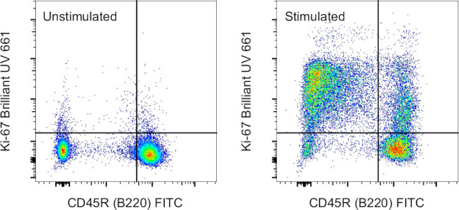 Ki-67 Antibody in Flow Cytometry (Flow)