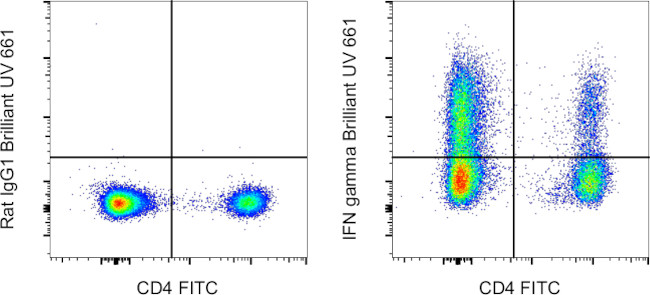 IFN gamma Antibody in Flow Cytometry (Flow)