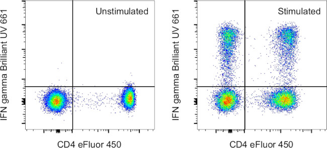 IFN gamma Antibody in Flow Cytometry (Flow)