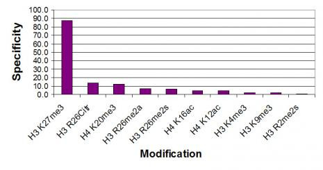 Histone H3K27me3 Antibody in ELISA (ELISA)