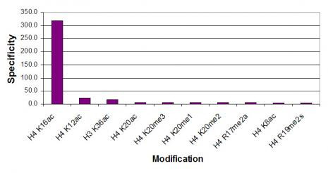 Histone H4K16ac Antibody in ELISA (ELISA)