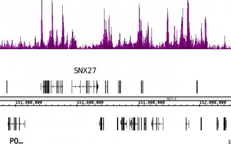 Histone H3K4me1 Antibody in ChIP-Sequencing (ChIP-Seq)