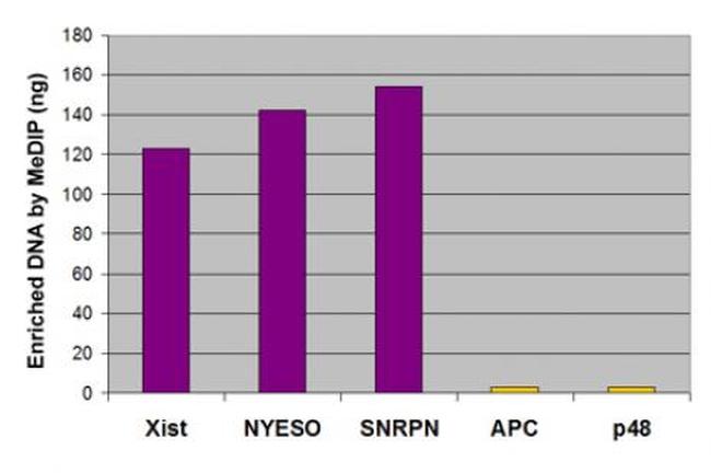 5-Methylcytosine (5-mC) Antibody in Methylated DNA Immunoprecipitation (MeDIP)