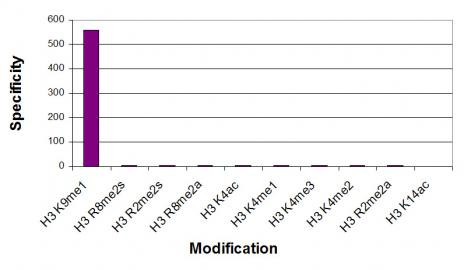 Histone H3K9me1 Antibody in ELISA (ELISA)