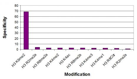 Histone H3K9me2 Antibody in ELISA (ELISA)