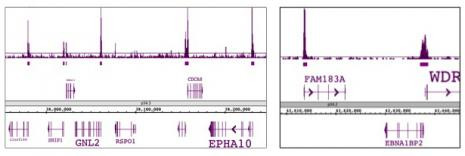 SAP30 Antibody in ChIP-Sequencing (ChIP-Seq)