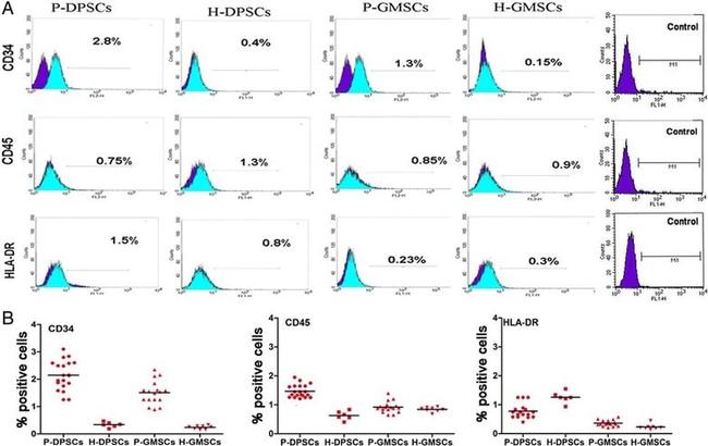 STRO-1 Antibody in Flow Cytometry (Flow)