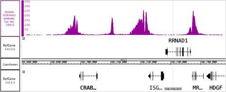 Histone H3K4me3 Antibody in ChIP-Sequencing (ChIP-seq)