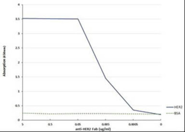 HER2 Fab Antibody in ELISA (ELISA)