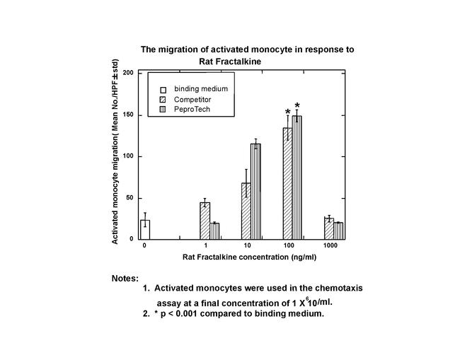 Rat Fractalkine (CX3CL1) Protein in Functional Assay (FN)