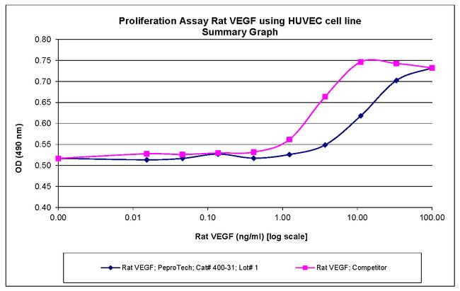 Rat VEGF-165 Protein in Functional Assay (FN)