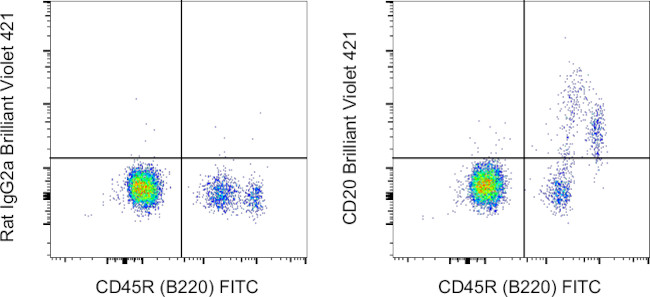 CD20 Antibody in Flow Cytometry (Flow)