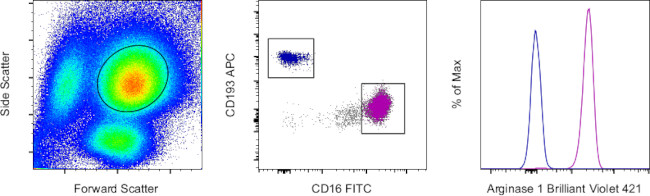 Arginase 1 Antibody in Flow Cytometry (Flow)