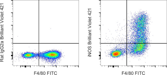 iNOS Antibody in Flow Cytometry (Flow)