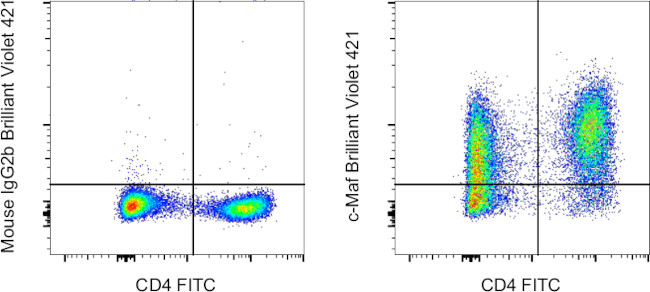 c-MAF Antibody in Flow Cytometry (Flow)