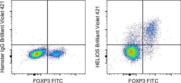 HELIOS Antibody in Flow Cytometry (Flow)