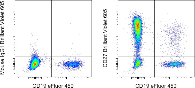 CD27 Antibody in Flow Cytometry (Flow)