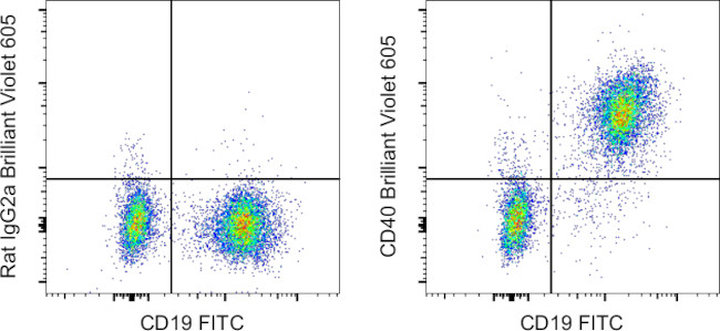 CD40 Antibody in Flow Cytometry (Flow)