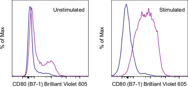 CD80 (B7-1) Antibody in Flow Cytometry (Flow)