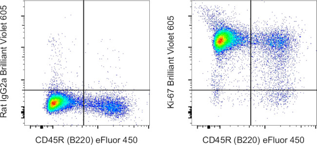 Ki-67 Antibody in Flow Cytometry (Flow)