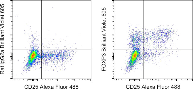 FOXP3 Antibody in Flow Cytometry (Flow)