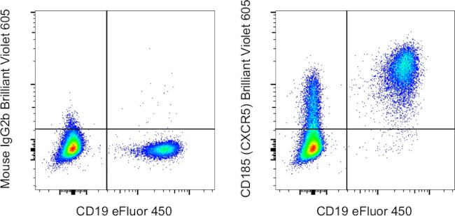 CD185 (CXCR5) Antibody in Flow Cytometry (Flow)