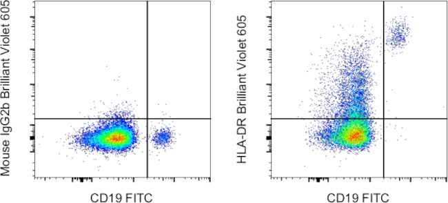 HLA-DR Antibody in Flow Cytometry (Flow)