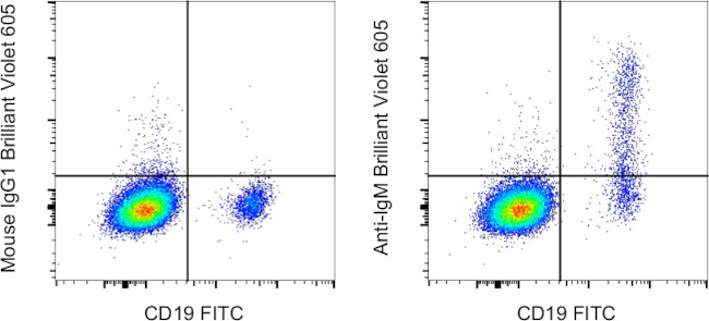 IgM Antibody in Flow Cytometry (Flow)