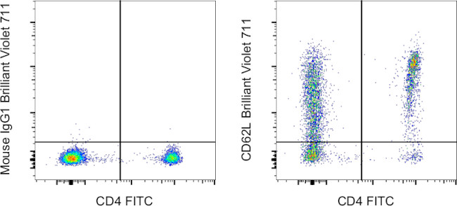 CD62L (L-Selectin) Antibody in Flow Cytometry (Flow)