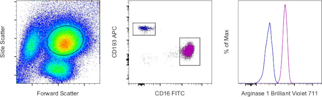 Arginase 1 Antibody in Flow Cytometry (Flow)