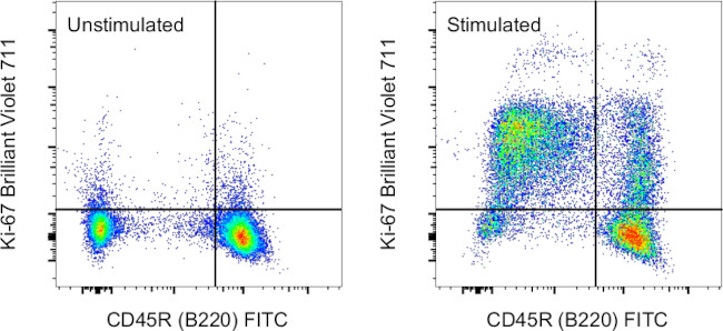 Ki-67 Antibody in Flow Cytometry (Flow)