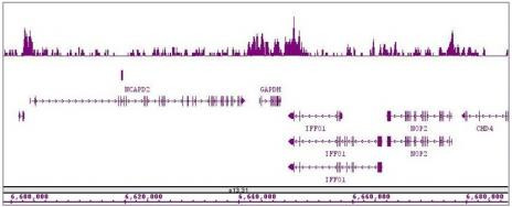 HDAC4 Antibody in ChIP-Sequencing (ChIP-Seq)