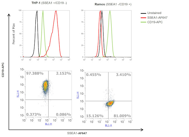 SSEA1 Antibody in Flow Cytometry (Flow)