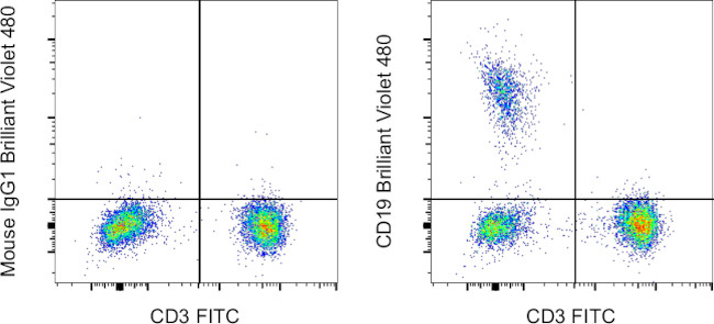 CD19 Antibody in Flow Cytometry (Flow)