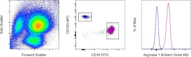 Arginase 1 Antibody in Flow Cytometry (Flow)