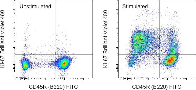 Ki-67 Antibody in Flow Cytometry (Flow)