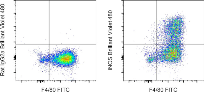 iNOS Antibody in Flow Cytometry (Flow)