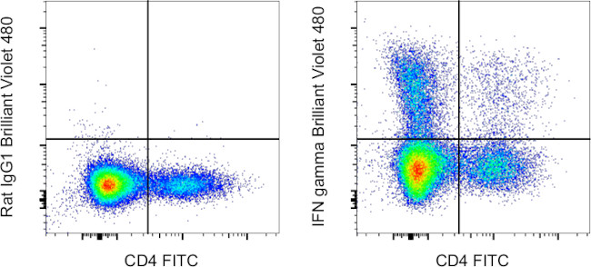 IFN gamma Antibody in Flow Cytometry (Flow)