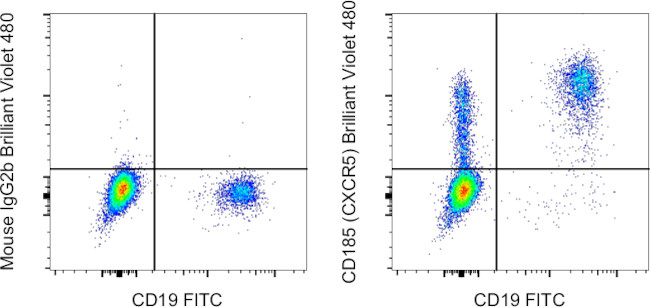 CD185 (CXCR5) Antibody in Flow Cytometry (Flow)