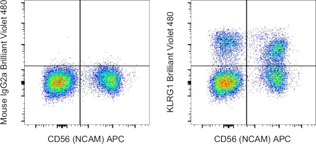 KLRG1 Antibody in Flow Cytometry (Flow)