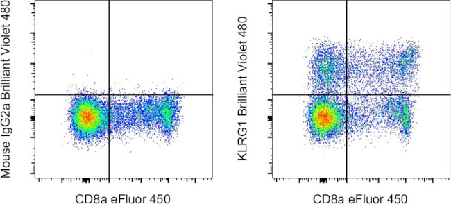 KLRG1 Antibody in Flow Cytometry (Flow)