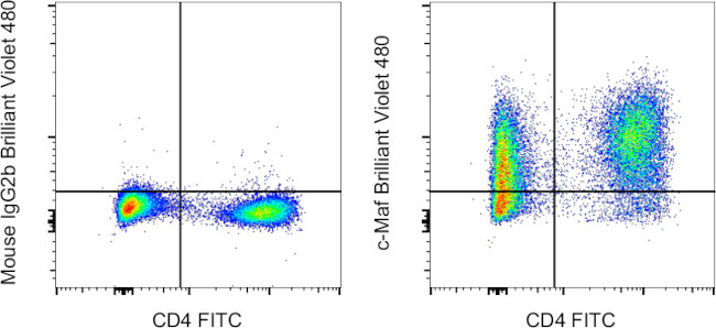 c-MAF Antibody in Flow Cytometry (Flow)