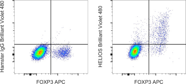 HELIOS Antibody in Flow Cytometry (Flow)