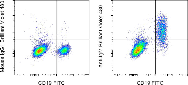 IgM Antibody in Flow Cytometry (Flow)