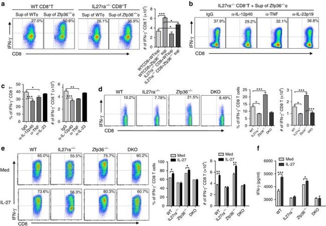 TNF alpha Antibody in Neutralization (Neu)