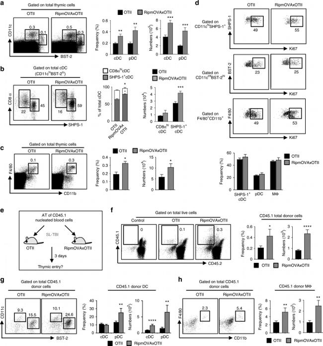 Ki-67 Antibody in Flow Cytometry (Flow)