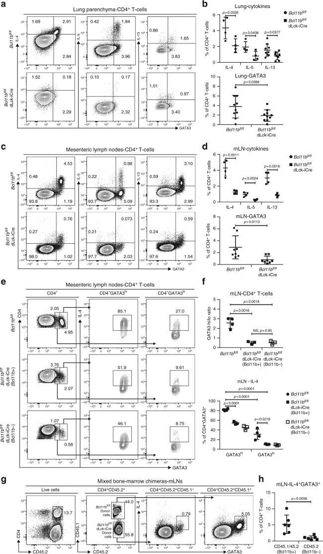 IL-5 Antibody in Flow Cytometry (Flow)