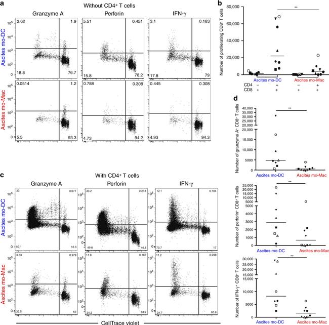 IFN gamma Antibody in Flow Cytometry (Flow)