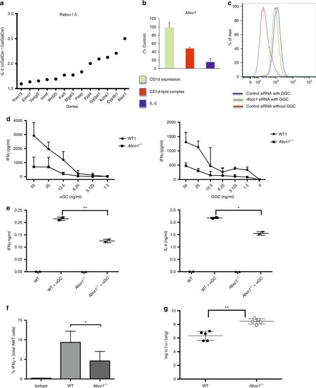 IFN gamma Antibody in Flow Cytometry (Flow)