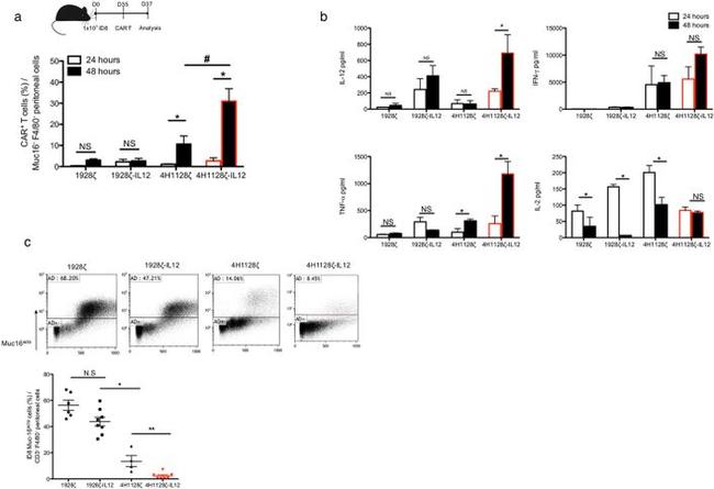 F4/80 Antibody in Flow Cytometry (Flow)